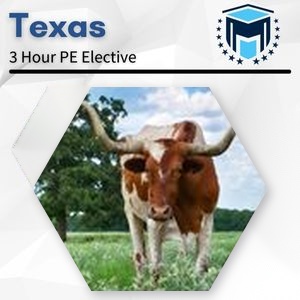 Texas SML 3 Hour SAFE Mortgage Pre-Licensing Course