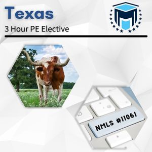 Online Self-Study - 3 Hour Texas NMLS Pre-License Course #11061